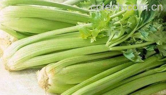 含钠高的食物和水果有哪些-1