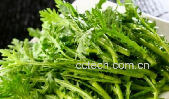 茼蒿高血压能吃吗 什么人不能吃茼蒿-1