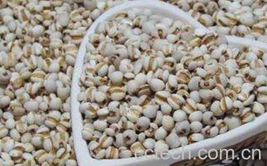 米仁怎么吃 米仁的功效与作用-0