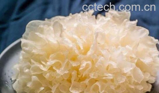 男人千万不要吃银耳 男人吃银耳的危害-0