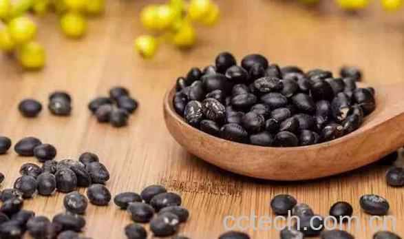 女人每天吃黑豆的好处与功效-1