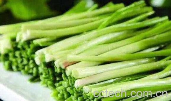 10大壮阳菜 原来这些食物最壮阳-0