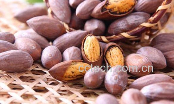 女人吃香榧有什么好处与坏处-1