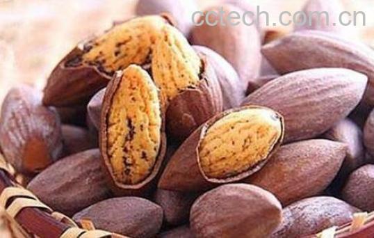 女人吃香榧有什么好处与坏处-0