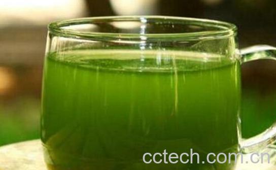 大麦若叶青汁的功效和作用及禁忌-0