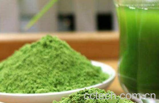 大麦若叶青汁的功效和作用及禁忌-1