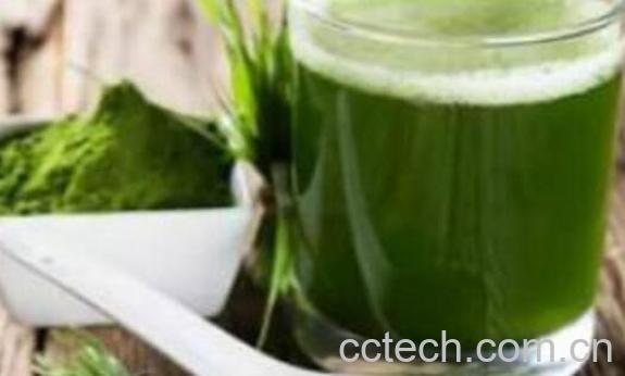 青汁的功效与作用 青汁的禁忌-1