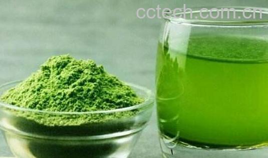 青汁的功效与作用 青汁的禁忌-0