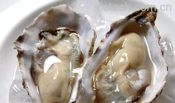 生蚝对女人的功效与作用-0