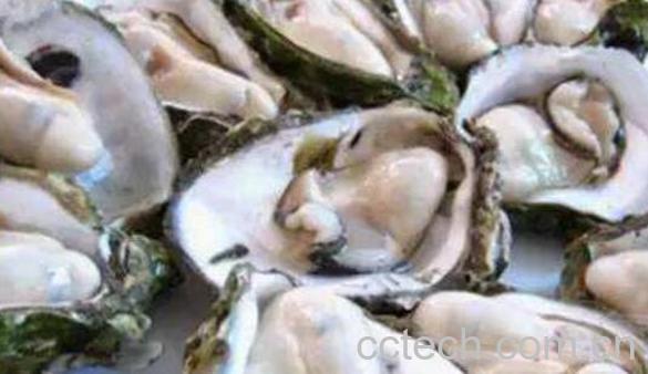 男人养肾最佳十种食物-1