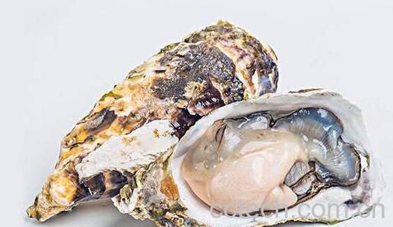 生蚝对男人的功效与作用-0