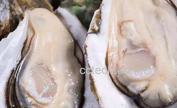 生蚝对男人的功效与作用-1