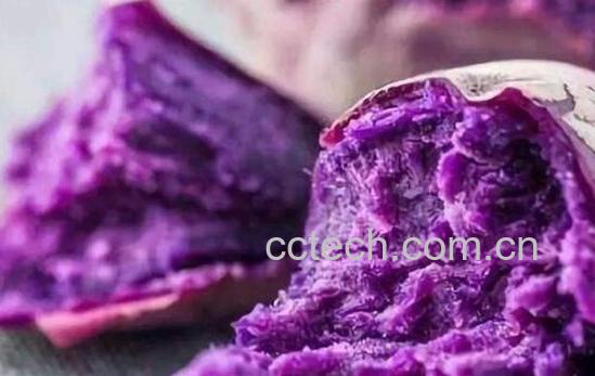 紫薯对女性有什么好处 女人吃紫薯的坏处-0