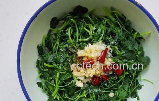 苜蓿怎么做着吃 苜蓿的家常做法大全-1