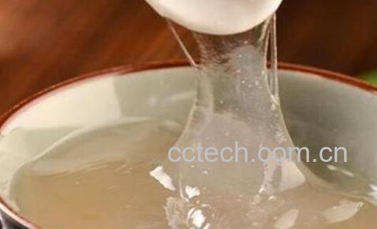 荸荠粉和马蹄粉的区别 吃马蹄粉的好处-1