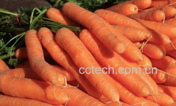 吃什么食物淡斑最快-1