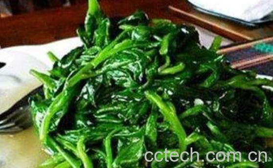 革命菜怎么吃 革命菜怎么做好吃-1