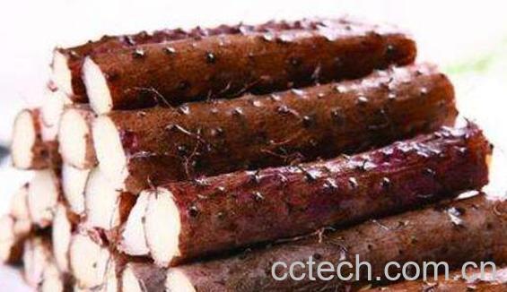 食疗补肾吃什么食物最好-1