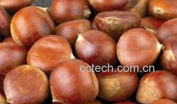 女人吃什么补肾的食物-0