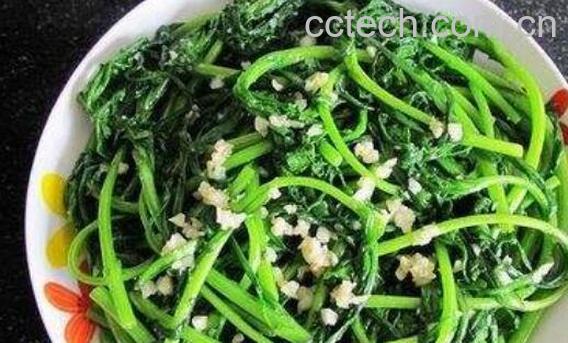 帝王菜的功效和作用-1