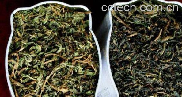 苦菜晒干泡水的功效与作用-1