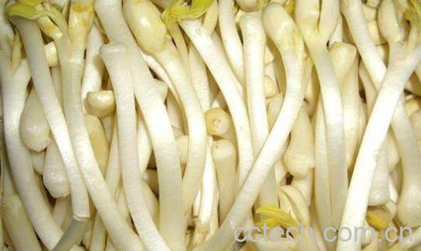 花生苗怎么处理再吃 花生苗哪些部分不能吃-1