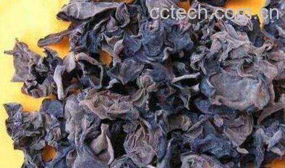 石耳怎么洗干净沙子 岩耳怎么洗吃起都沙口-0