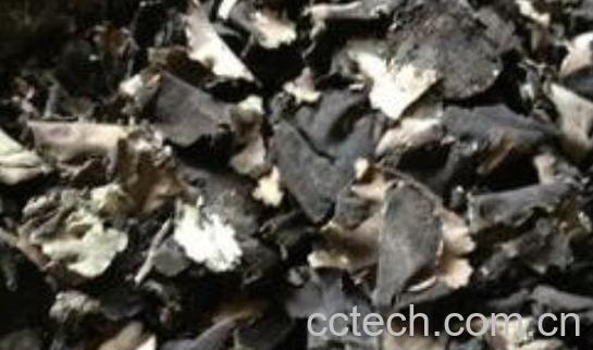 石耳怎么洗干净沙子 岩耳怎么洗吃起都沙口-1