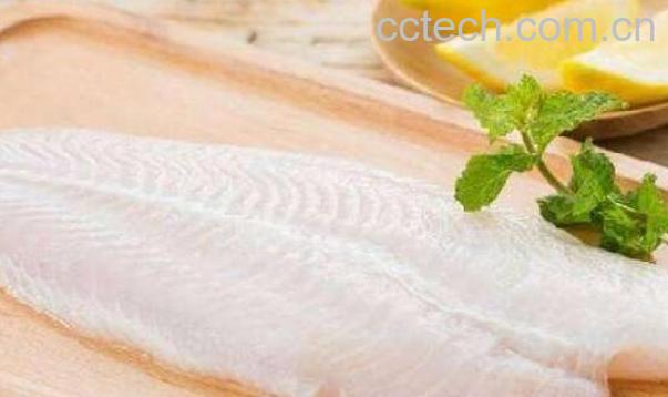 巴沙鱼禁止的原因 巴沙鱼不适合人类食用-0