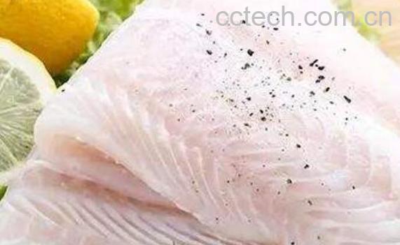 巴沙鱼禁止的原因 巴沙鱼不适合人类食用-1