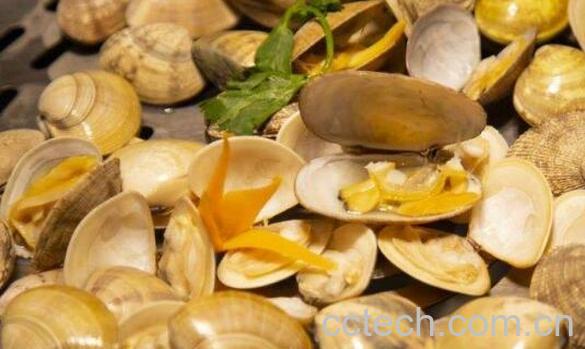 美国红贝的哪些部位不能吃 美国红贝的吃法-1