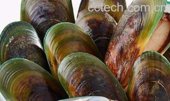 青贝哪些部位是不能吃的 吃青贝的好处-0