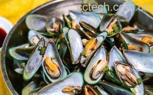 青贝哪些部位是不能吃的 吃青贝的好处-1