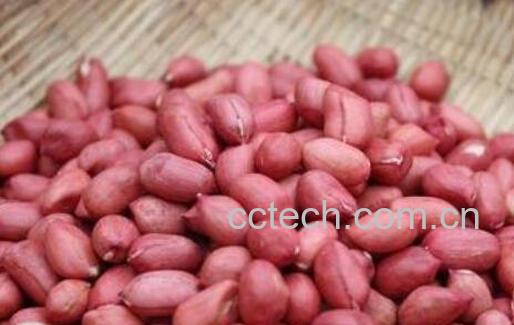 红皮花生和普通花生有什么区别-0