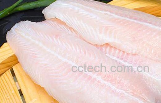 巴沙鱼是什么鱼有什么营养 巴沙鱼是什么鱼为什么没有刺-1