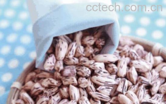 七彩花生的功效与作用 七彩花生的营养价值-1