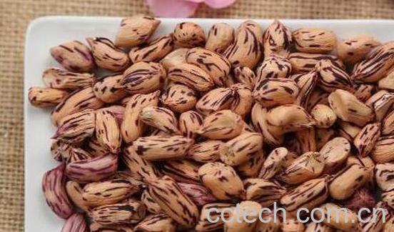 七彩花生怎么吃 云南七彩花生的吃法-0