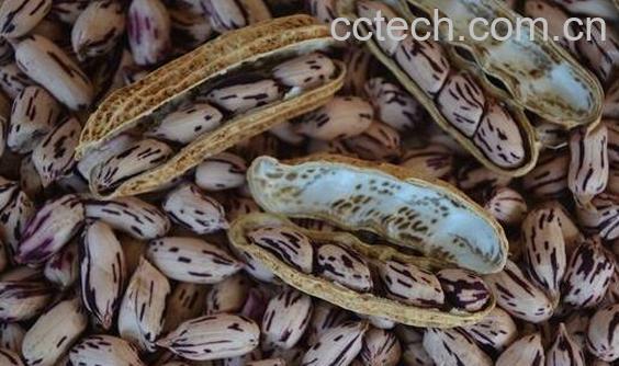 七彩花生怎么吃 云南七彩花生的吃法-1