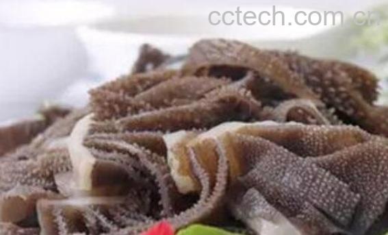 白叶的功效与作用 白叶是什么-1