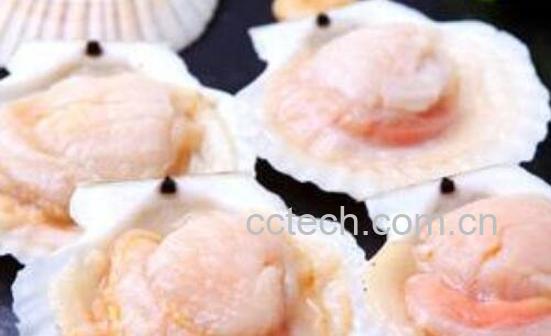 夏威夷贝哪些部位不能吃 吃夏威夷贝的好处-0