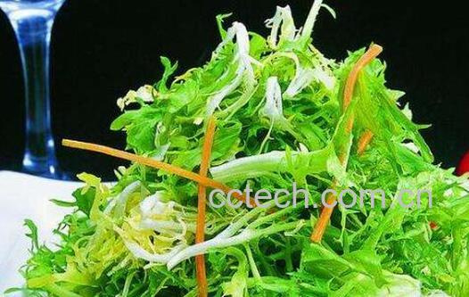 苦菜的功效与作用及禁忌-1