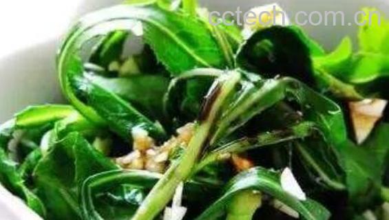 野生苦菜怎么吃 野生苦菜的正确吃法-1