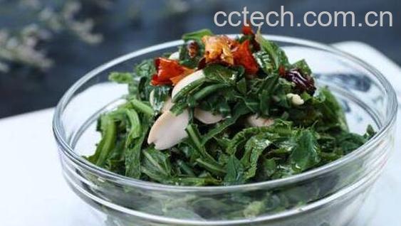苦菜怎么做好吃 苦菜的正确吃法-0