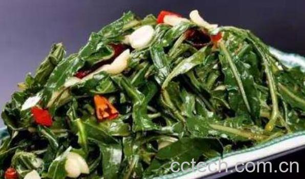 苦菜怎么做好吃 苦菜的正确吃法-1