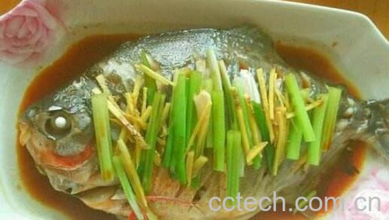 最适合孩子吃的八种鱼-1