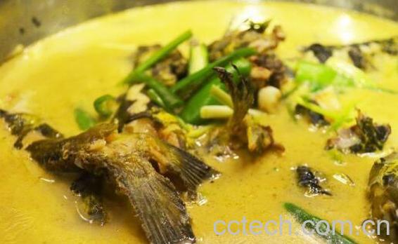 黄鸭叫鱼的功效与作用-0