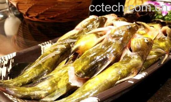 黄鸭叫怎么处理干净-0