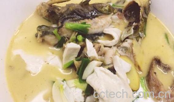 黄鸭叫炖豆腐的功效与作用-1