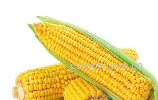 十种刮油食物越吃越瘦 刮油食物推荐-0