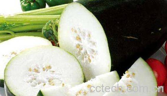 十种刮油食物越吃越瘦-1